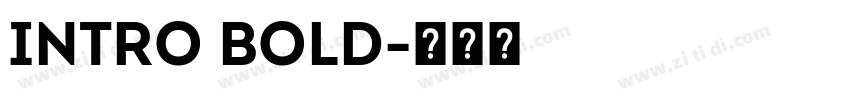 INTRO BOLD字体转换
